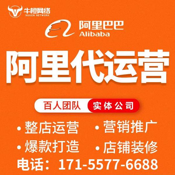 滨州电商代运营