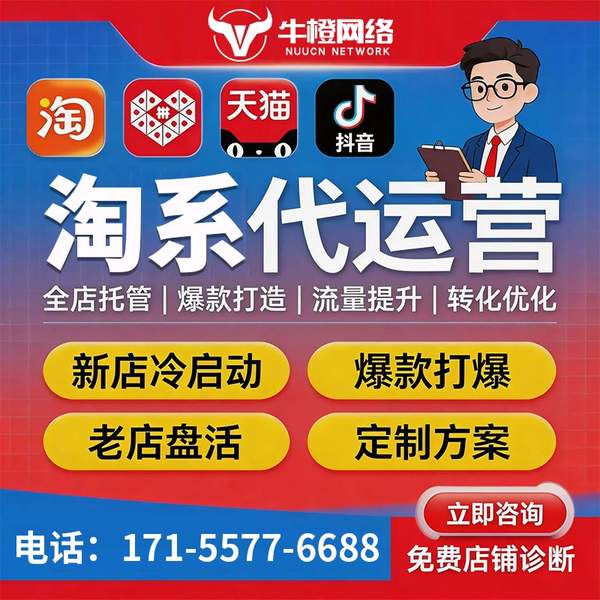 滨州电商代运营