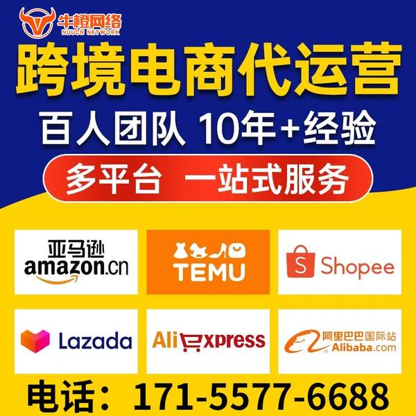 滨州电商代运营