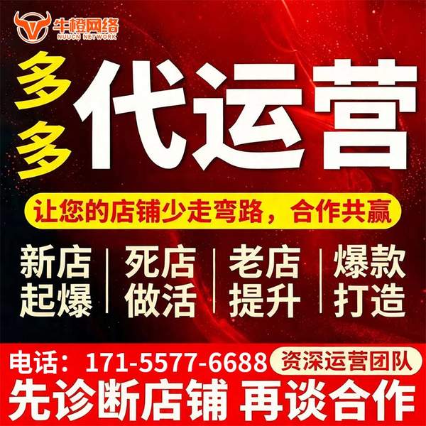 滨州电商代运营