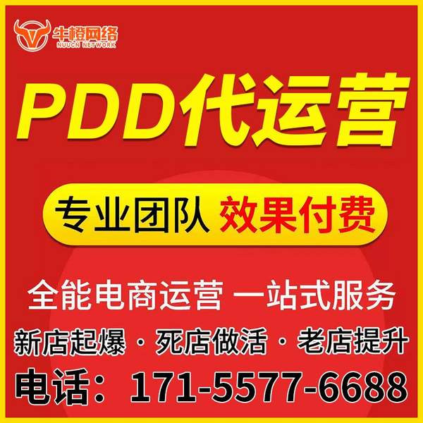滨州电商代运营
