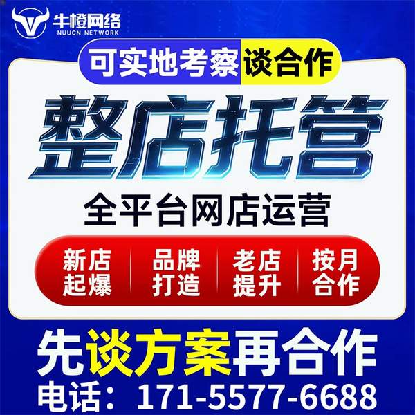 滨州电商代运营