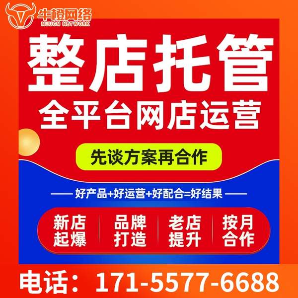 滨州电商代运营