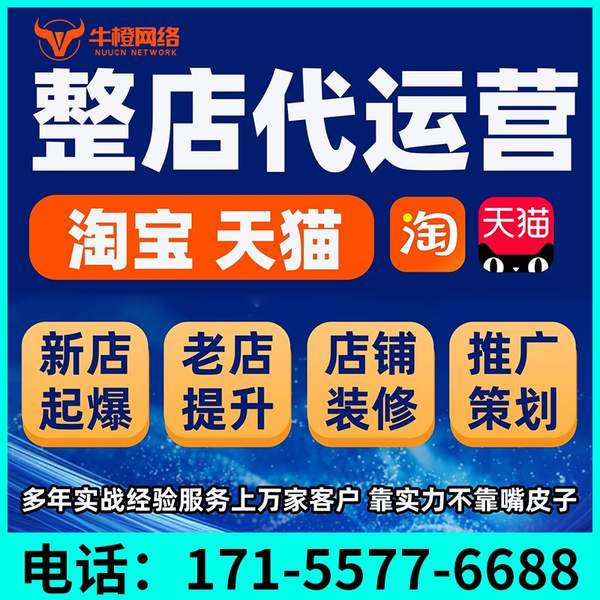 滨州电商代运营