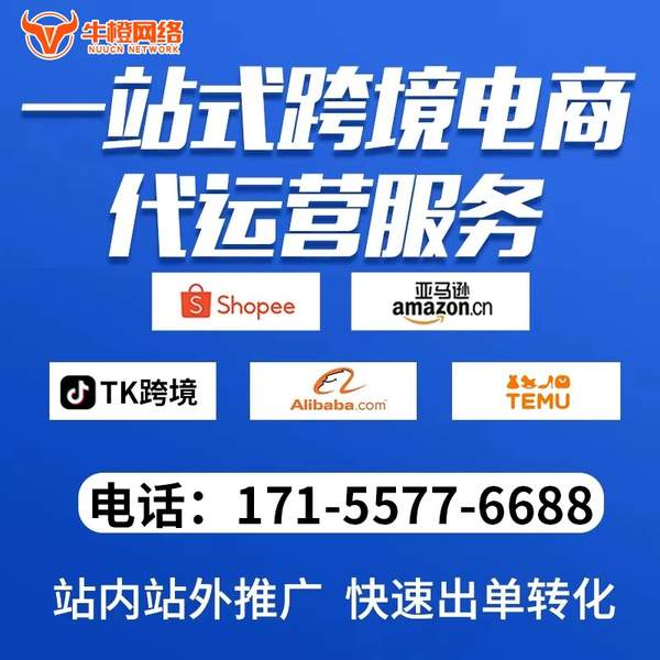 滨州电商代运营