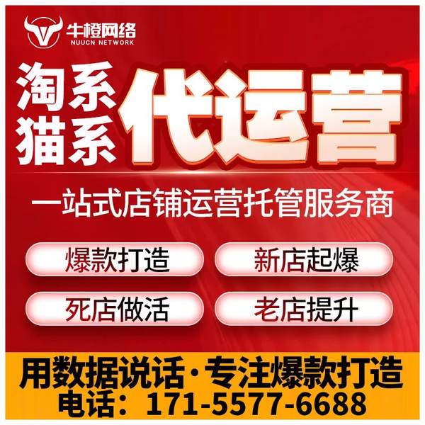 滨州电商代运营